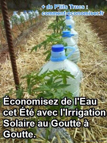 Save Water This Summer: Build a DIY Solar Drip Irrigator with Recycled Bottles