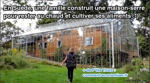 Swedish Couple s Eco-Innovative Greenhouse Home: Year-Round Veggies and Warmth in Stockholm Winters