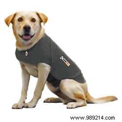 Expert-Backed Trick: Calm Your Dog During Fireworks with a Simple Anxiety Wrap