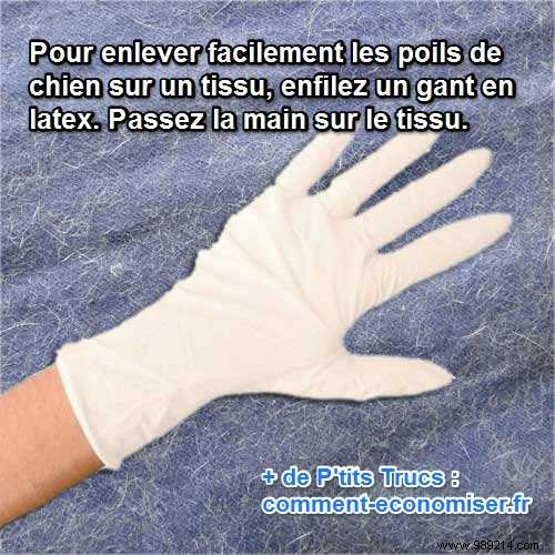 Effortless Dog Hair Removal: The Latex Glove Trick for Fabrics
