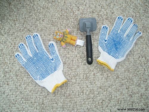 3 Budget-Friendly Tips for Grooming Your Cat Effectively