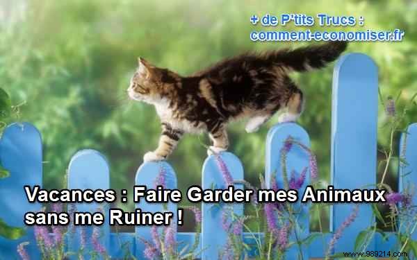 Affordable Pet Sitting Solutions for Worry-Free Holidays