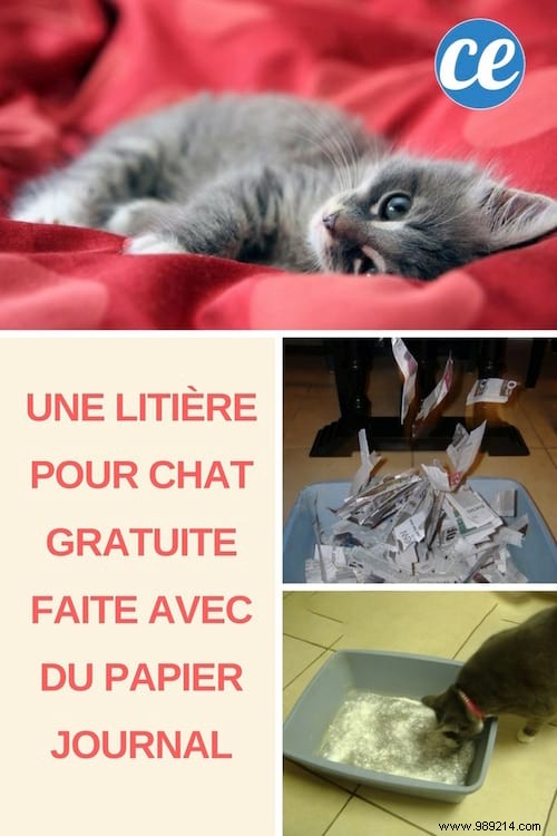 DIY Eco-Friendly Cat Litter: Make It Free from Newspaper in 3 Minutes