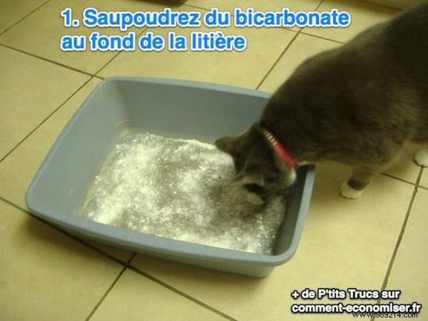 DIY Eco-Friendly Cat Litter: Make It Free from Newspaper in 3 Minutes