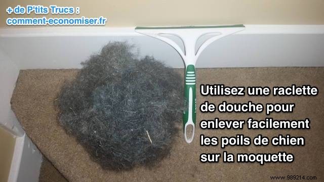 Simple Shower Squeegee Trick to Effortlessly Remove Dog Hair from Carpets