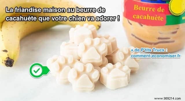 Easy Homemade Frozen Peanut Butter Dog Treats: A Healthy Reward Your Pup Will Adore