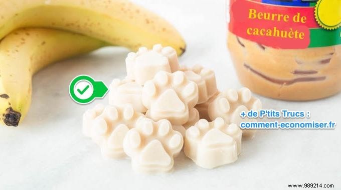 Easy Homemade Frozen Peanut Butter Dog Treats: A Healthy Reward Your Pup Will Adore