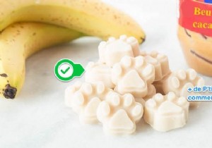 Easy Homemade Frozen Peanut Butter Dog Treats: A Healthy Reward Your Pup Will Adore
