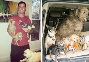 Steve Greig s Inspiring Journey: Adopting Senior Shelter Dogs for Loving Golden Years