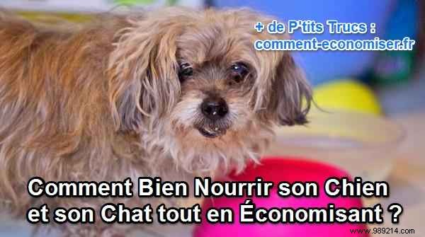 Feed Your Dog and Cat a Natural Raw Diet: Healthier and Cheaper