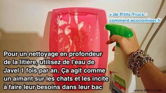 How to Clean and Disinfect Your Cat s Litter Box with White Vinegar – Safe and Effective