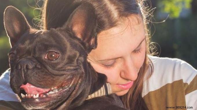 Study: Petting Your Dog for Just 15 Minutes Matches Red Wine and Chocolate for Heart Health Benefits