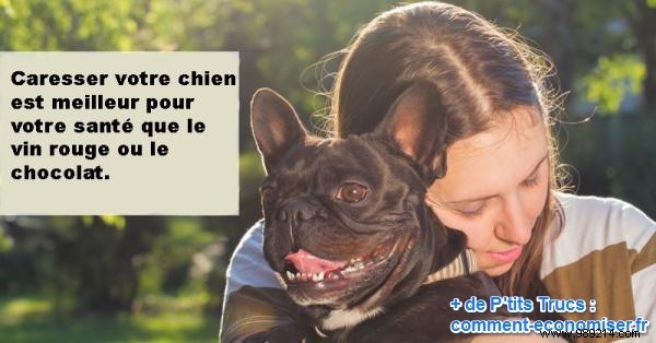 Study: Petting Your Dog for Just 15 Minutes Matches Red Wine and Chocolate for Heart Health Benefits