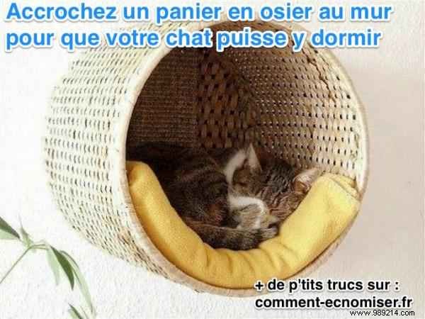 Space-Saving DIY: Wall-Mounted Perched Cat Basket for Small Homes