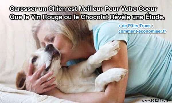 Study: Petting Your Dog for Just 15 Minutes Matches Red Wine and Chocolate for Heart Health Benefits
