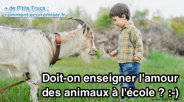 Should Schools Teach Empathy for Animals? Experts Make a Compelling Case