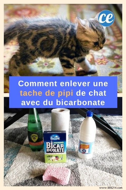 Expert Guide: Remove Cat Urine Stains from Carpet Naturally with Baking Soda