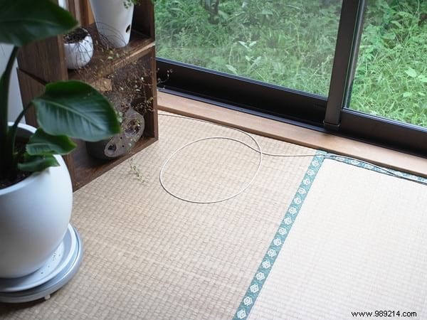 Why Do Cats Obsessively Sit in Circles? A Viral Experiment Reveals Feline Secrets