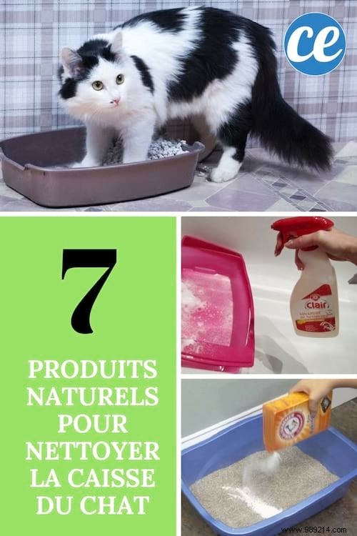 7 Safe, Natural Products to Clean and Deodorize Your Cat s Litter Box