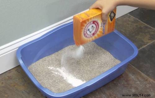 7 Safe, Natural Products to Clean and Deodorize Your Cat s Litter Box
