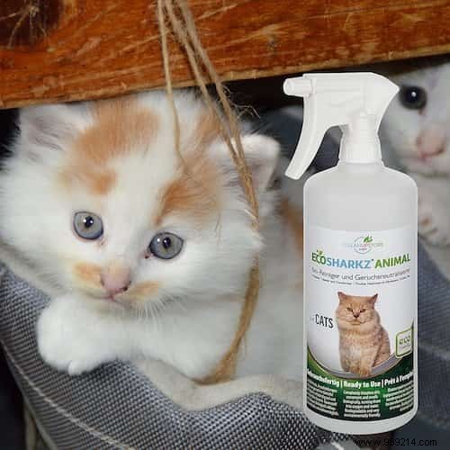 7 Safe, Natural Products to Clean and Deodorize Your Cat s Litter Box