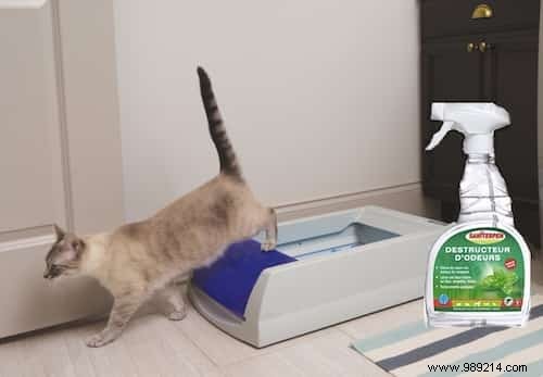 7 Safe, Natural Products to Clean and Deodorize Your Cat s Litter Box