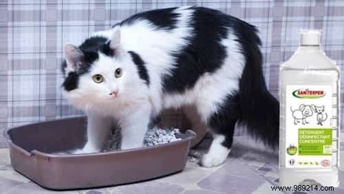 7 Safe, Natural Products to Clean and Deodorize Your Cat s Litter Box