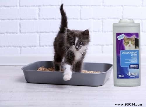 7 Safe, Natural Products to Clean and Deodorize Your Cat s Litter Box