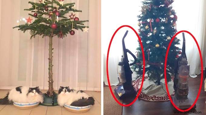 18 Ingenious Photos: How Pet Owners Protect Christmas Trees from Cats and Dogs