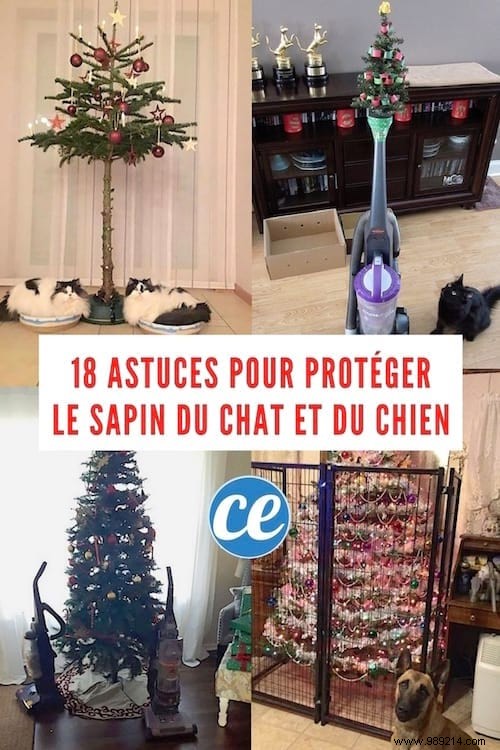 18 Ingenious Photos: How Pet Owners Protect Christmas Trees from Cats and Dogs