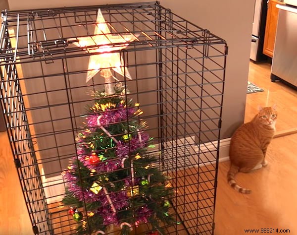 18 Ingenious Photos: How Pet Owners Protect Christmas Trees from Cats and Dogs