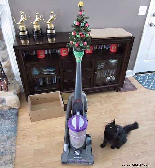 18 Ingenious Photos: How Pet Owners Protect Christmas Trees from Cats and Dogs
