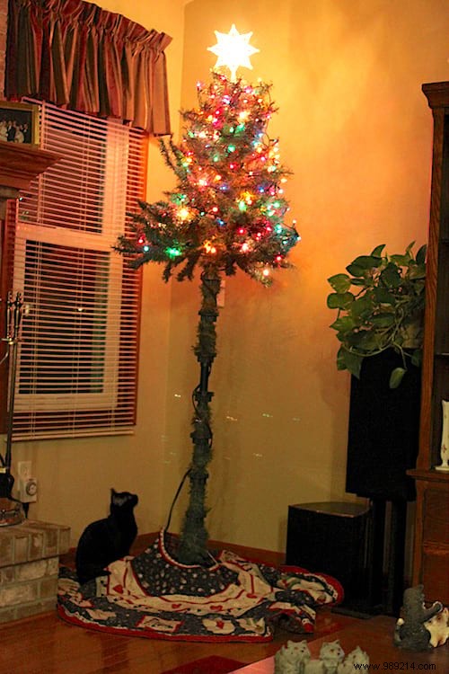 18 Ingenious Photos: How Pet Owners Protect Christmas Trees from Cats and Dogs