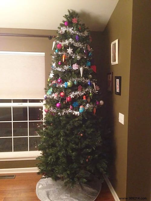 18 Ingenious Photos: How Pet Owners Protect Christmas Trees from Cats and Dogs