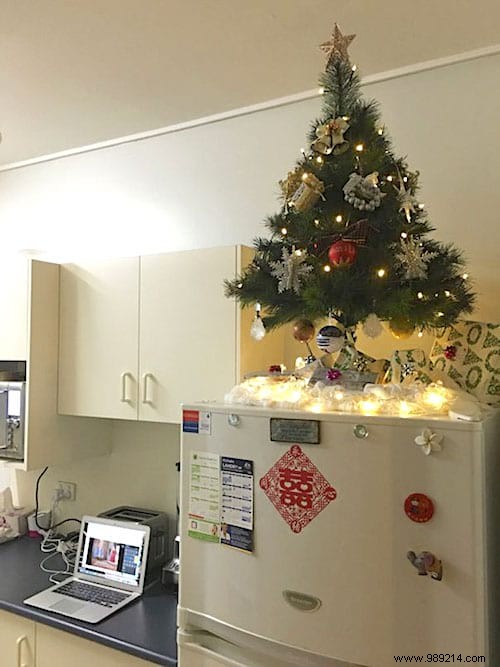 18 Ingenious Photos: How Pet Owners Protect Christmas Trees from Cats and Dogs