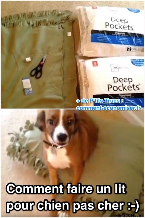 DIY Budget Dog Bed: Simple, Affordable Comfort Your Pup Will Adore