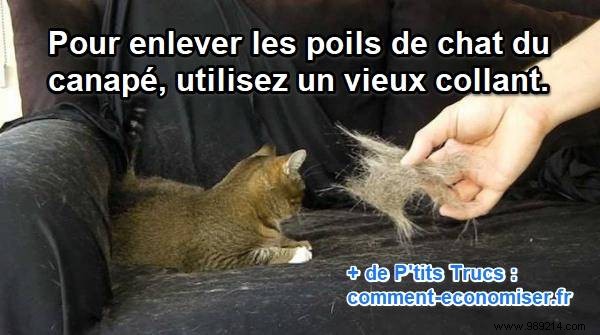 Effortless Cat Hair Removal: The Pantyhose Trick Every Pet Owner Needs