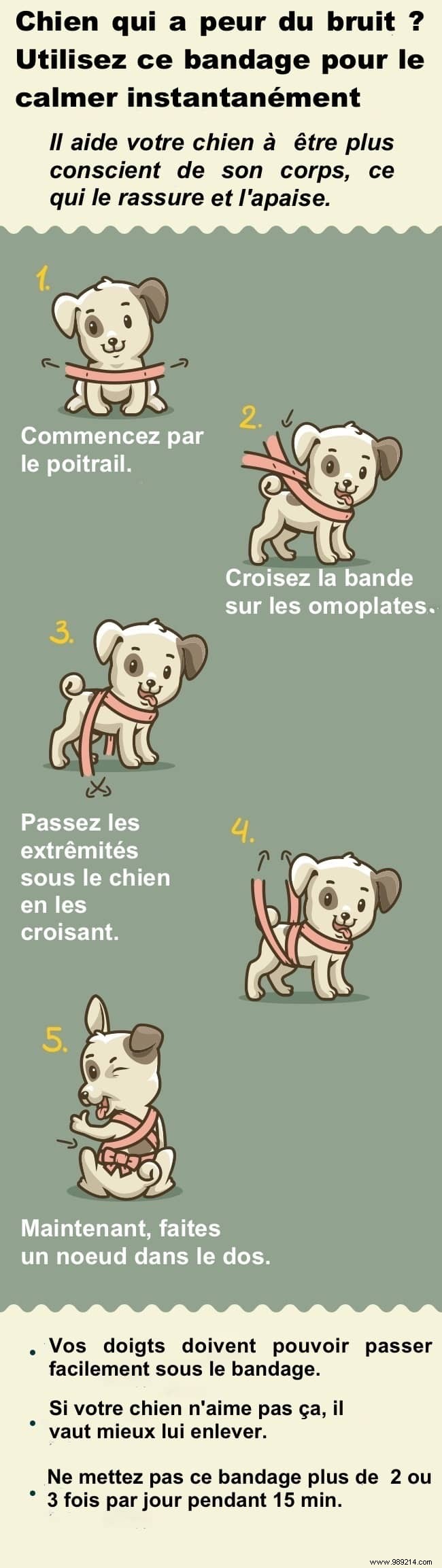 Calm Your Noise-Fearful Dog Instantly: The Proven Bandage Wrap Technique