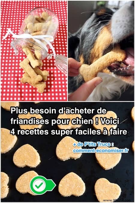 4 Easy Homemade Dog Treat Recipes: Healthy, Affordable Snacks Your Pup Will Love