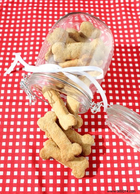4 Easy Homemade Dog Treat Recipes: Healthy, Affordable Snacks Your Pup Will Love