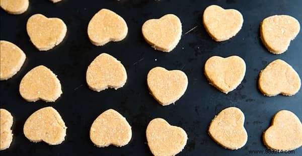 4 Easy Homemade Dog Treat Recipes: Healthy, Affordable Snacks Your Pup Will Love