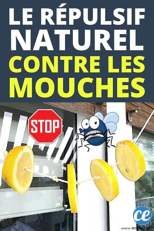 Natural Lemon Garland: Proven Way to Repel Flies Indoors and Out