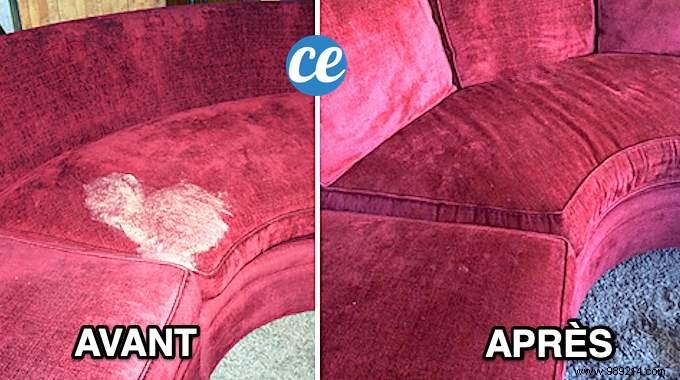 Remove Vomit Stains from Sofas, Carpets, and More: Baking Soda Trick for Spotless Results