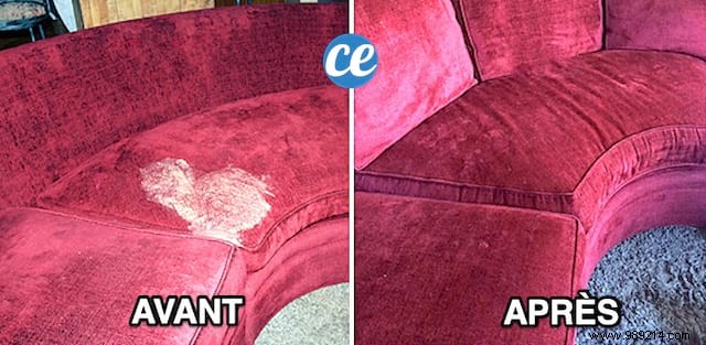 Remove Vomit Stains from Sofas, Carpets, and More: Baking Soda Trick for Spotless Results