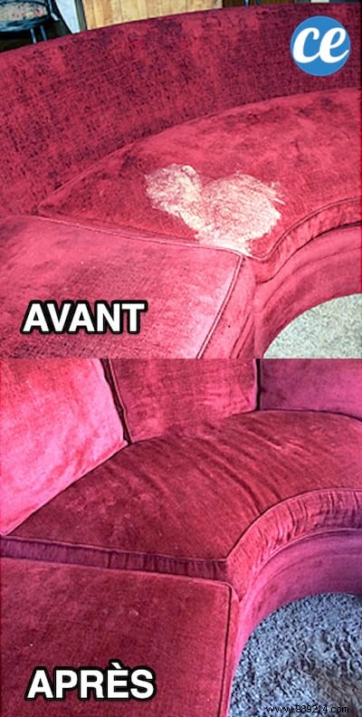 Remove Vomit Stains from Sofas, Carpets, and More: Baking Soda Trick for Spotless Results