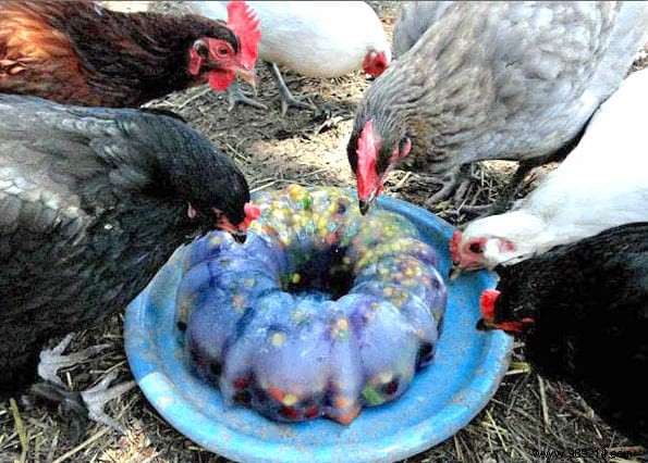 17 Proven DIY Tips for a Happier, Healthier Chicken Coop