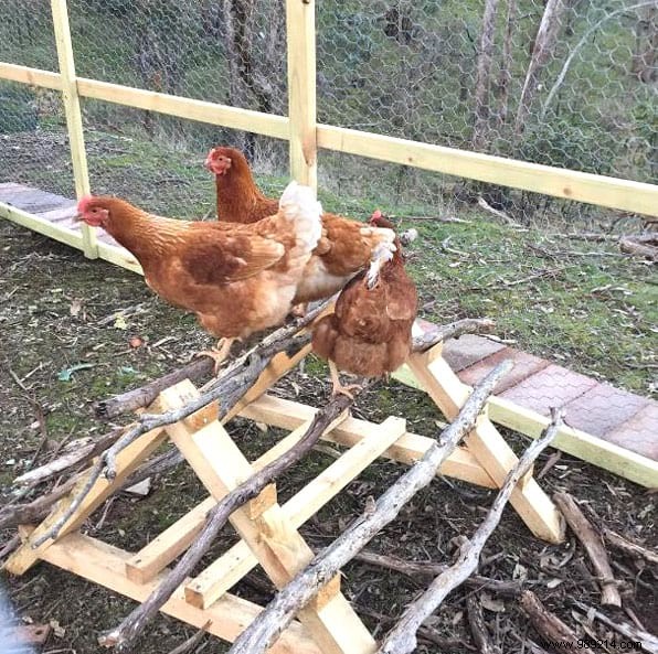 17 Proven DIY Tips for a Happier, Healthier Chicken Coop