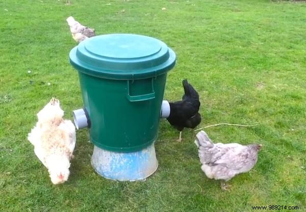 17 Proven DIY Tips for a Happier, Healthier Chicken Coop