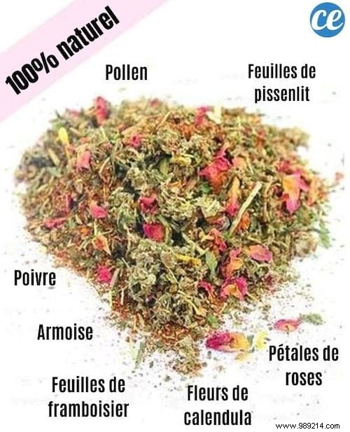 17 Proven DIY Tips for a Happier, Healthier Chicken Coop