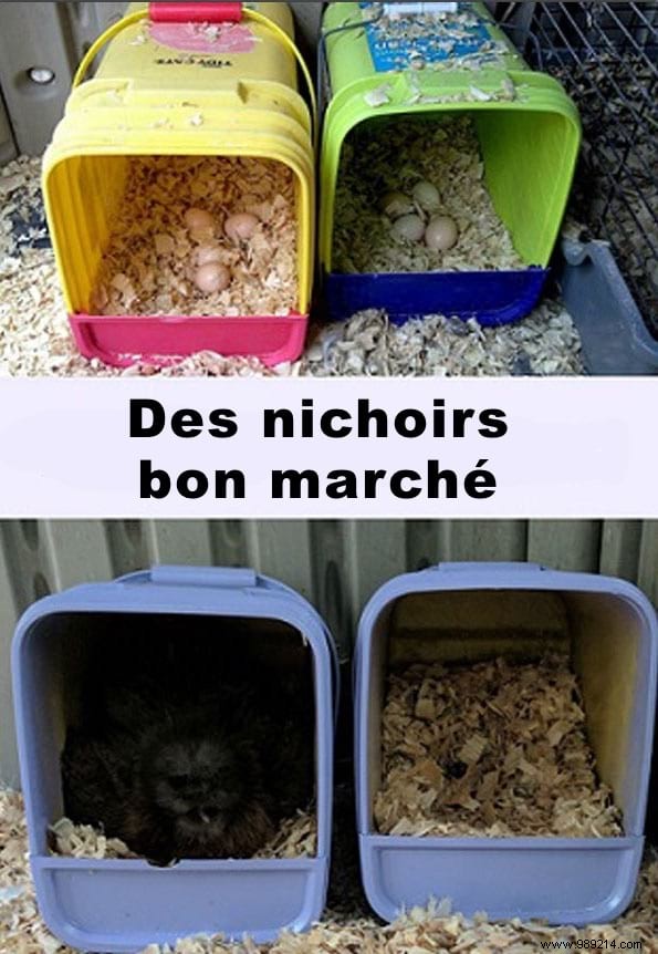 17 Proven DIY Tips for a Happier, Healthier Chicken Coop